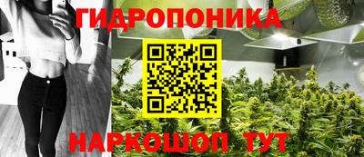 индика Малоярославец