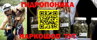 индика Малоярославец