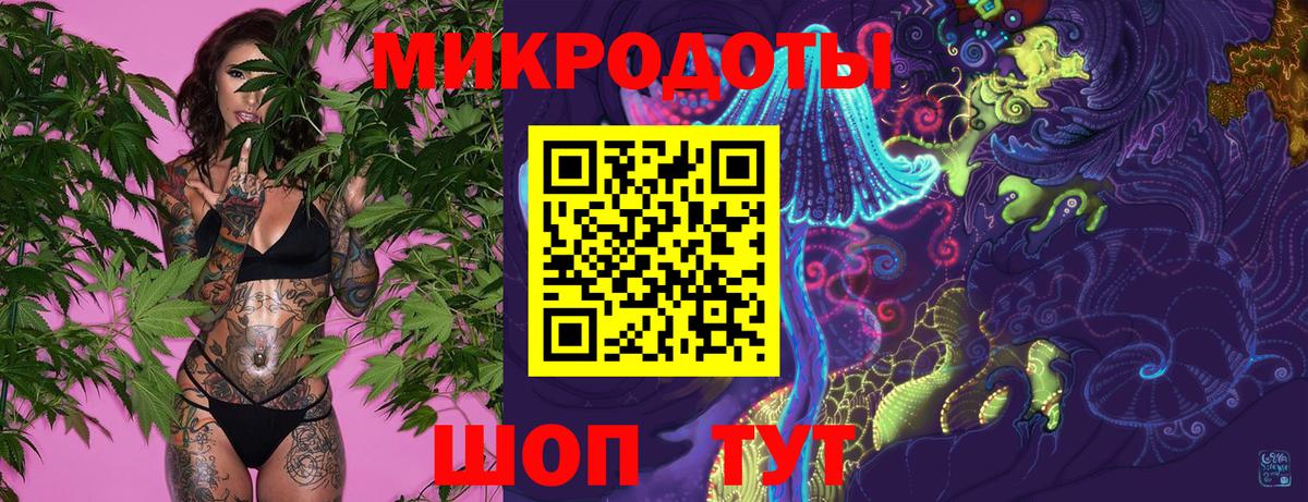 Псилоцибиновые грибы Psilocybe Бузулук